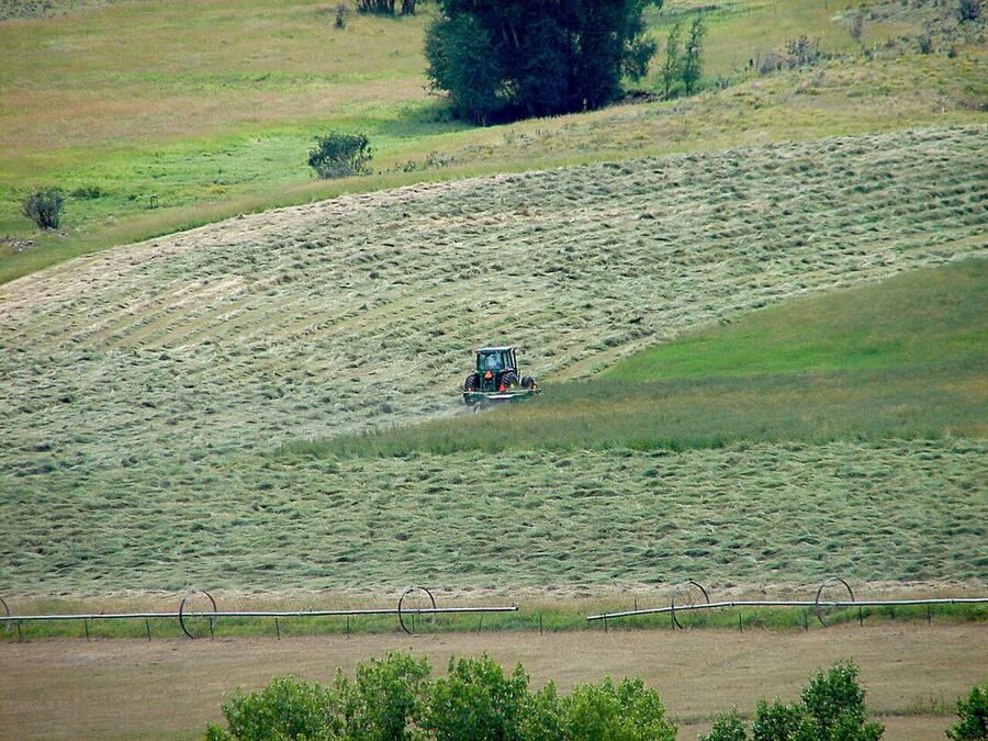 Tractor mowing a sloping hay field in mid-Michigan